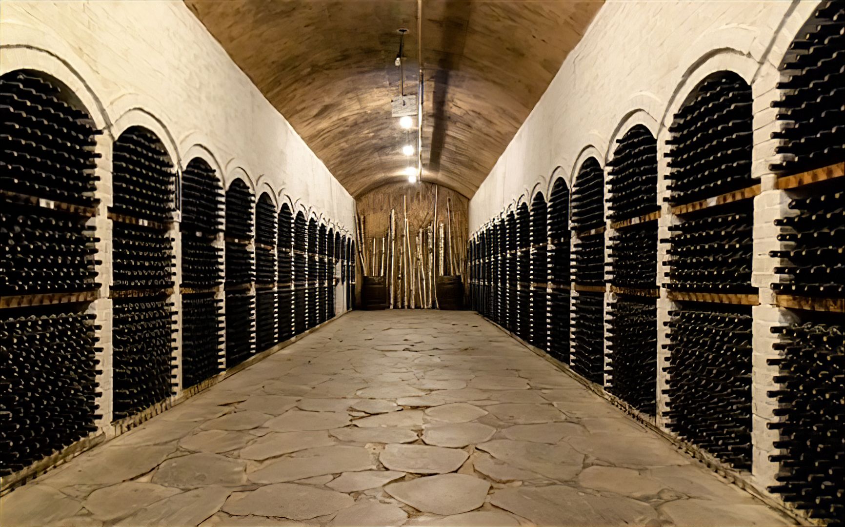 feed-section-image